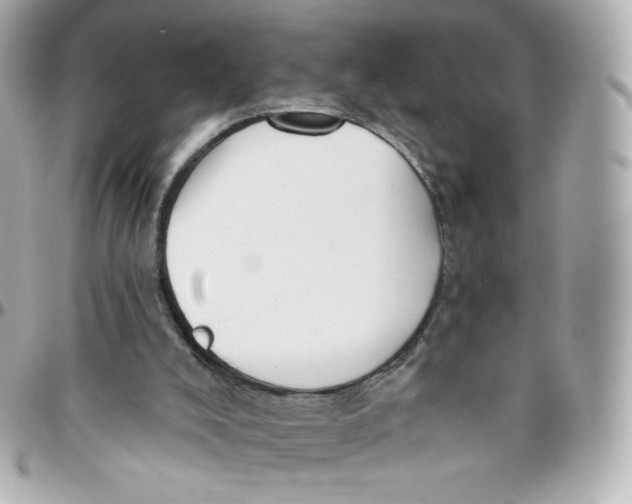 X0000095880008200802011055