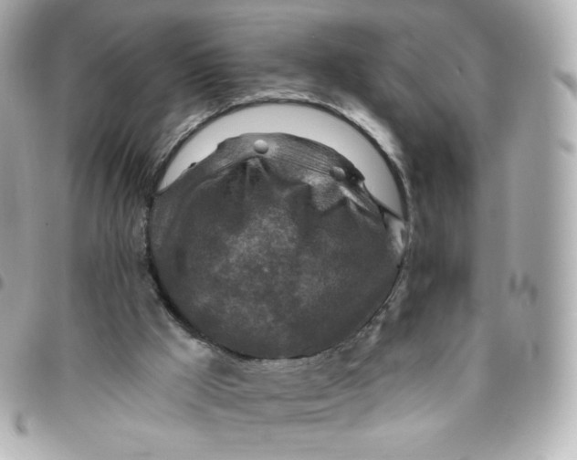 X0000095880009200802011055