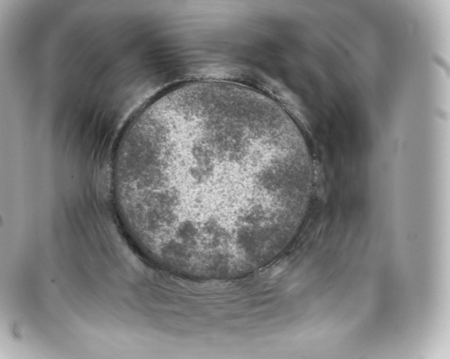 X0000095880012200802011055