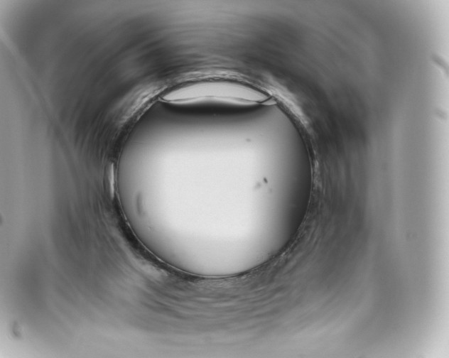 X0000095880013200802011055