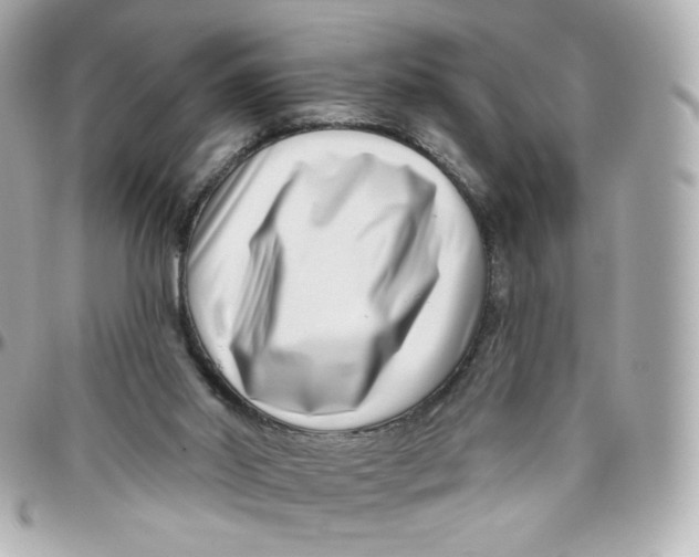 X0000095880014200802011055