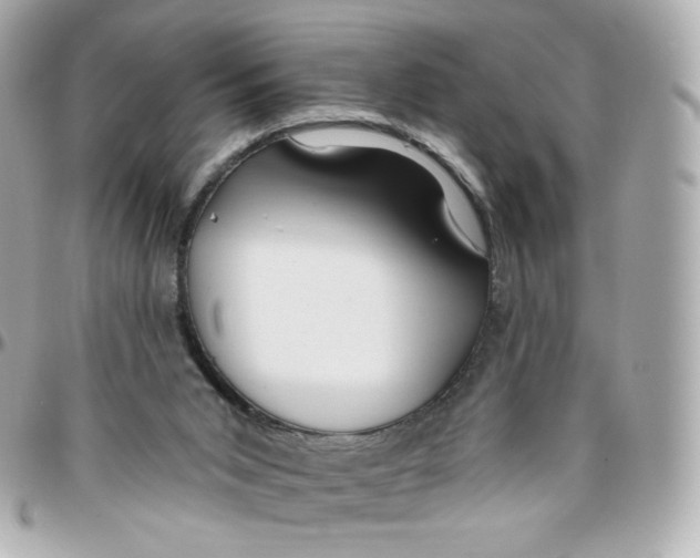 X0000095880015200802011055