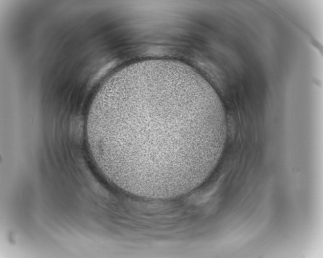 X0000095880016200802011055