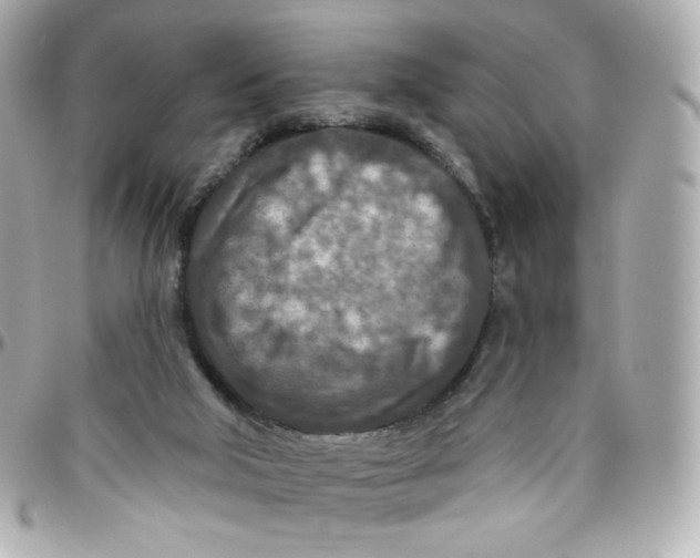 X0000095880018200802011054