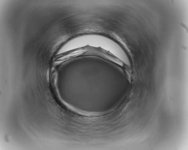 X0000095880019200802011054