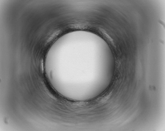 X0000095880020200802011054