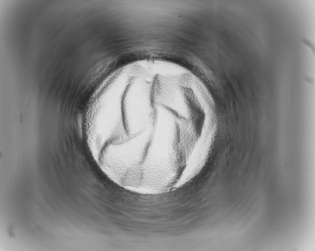 X0000095880022200802011054