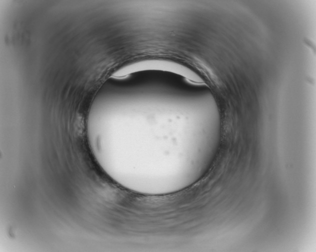 X0000095880025200802011054