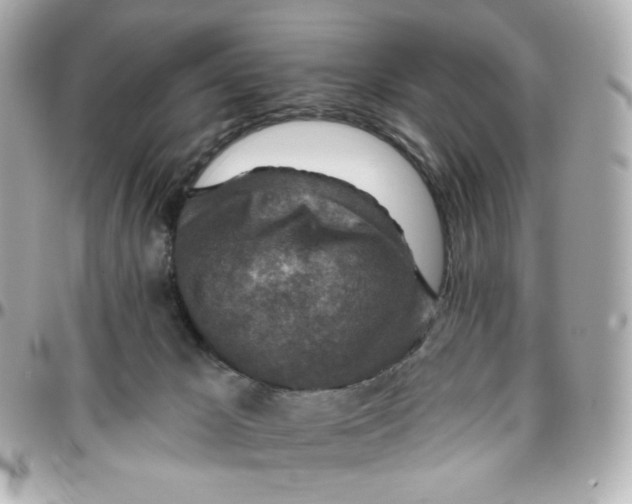 X0000095880029200802011054