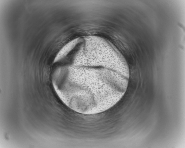 X0000095880030200802011054