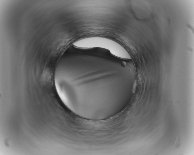 X0000095880031200802011054