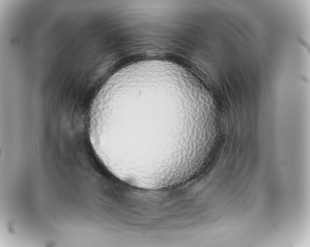 X0000095880032200802011054