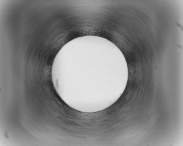 X0000095880034200802011054