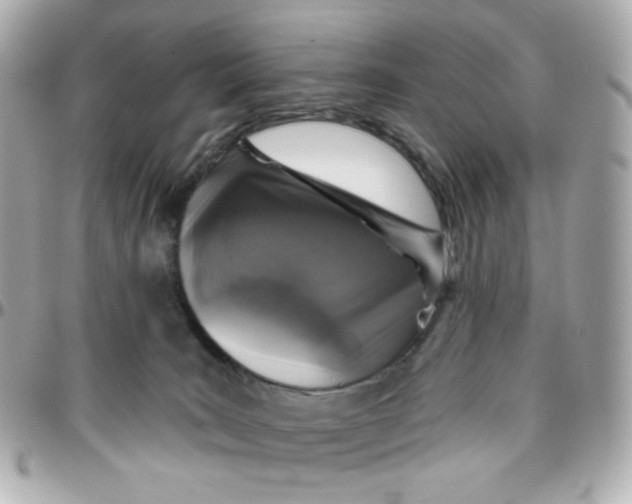 X0000095880035200802011054