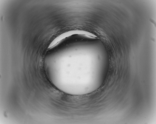 X0000095880037200802011054