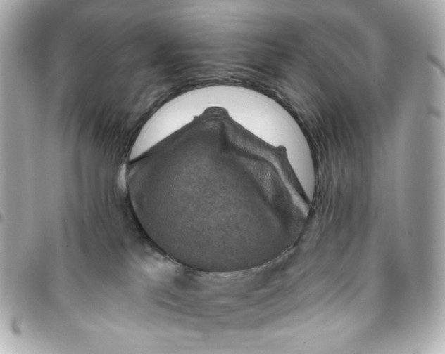 X0000095880041200802011054