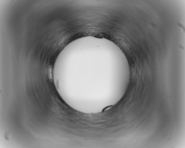 X0000095880042200802011054