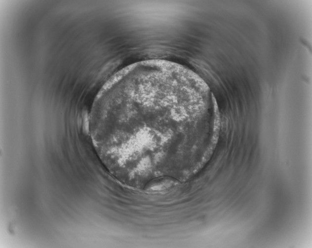 X0000095880046200802011054