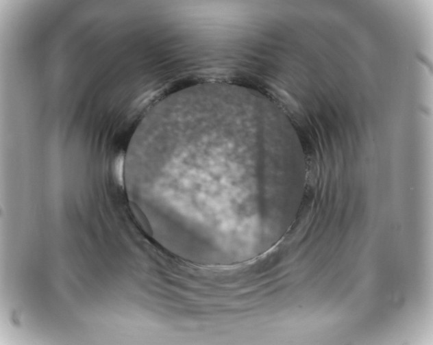 X0000095880047200802011054