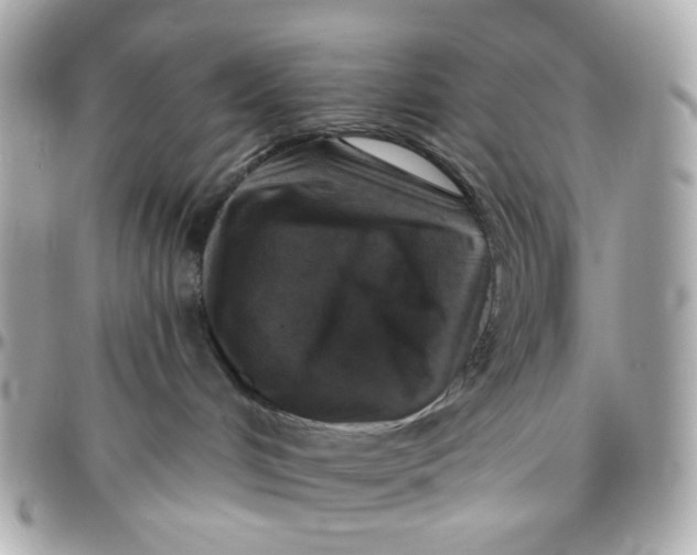 X0000095880048200802011054