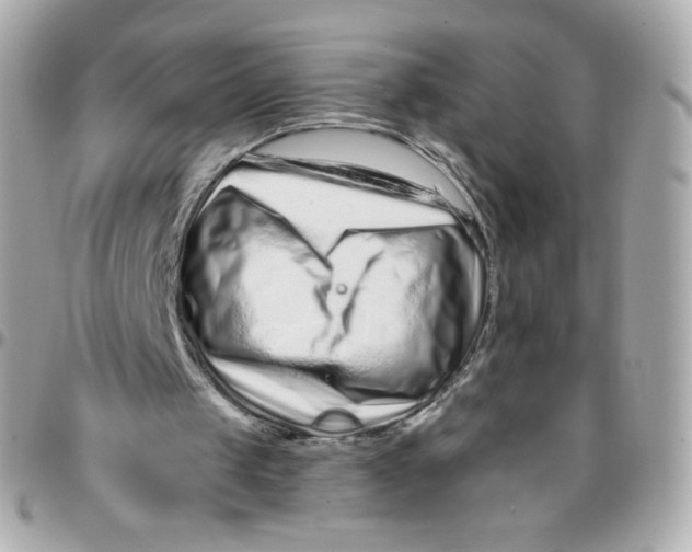 X0000095880049200802011053