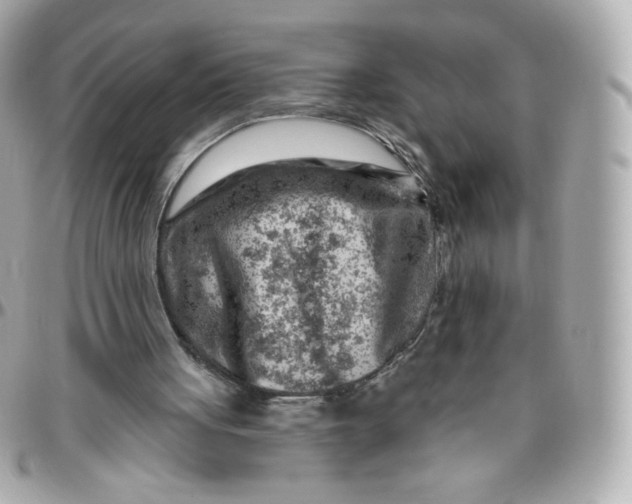 X0000095880051200802011053