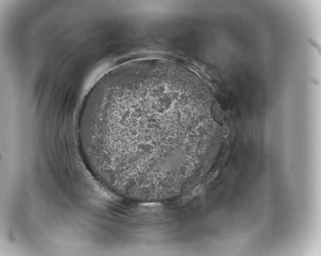 X0000095880053200802011053