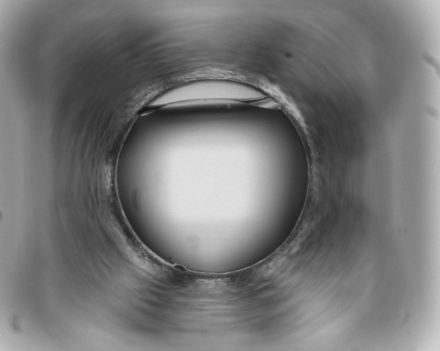 X0000095880057200802011053