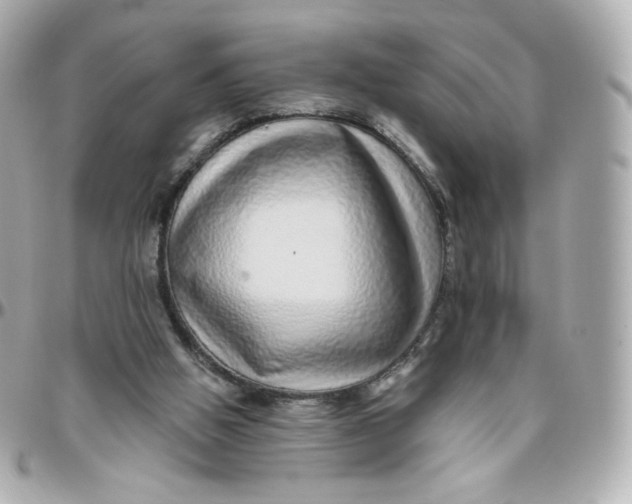 X0000095880058200802011053