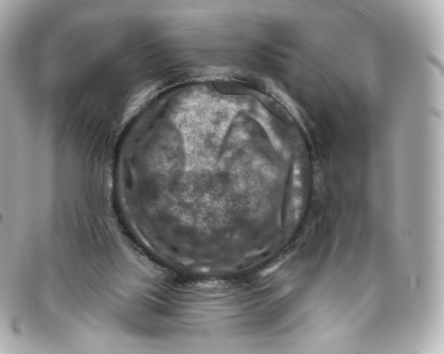 X0000095880059200802011053