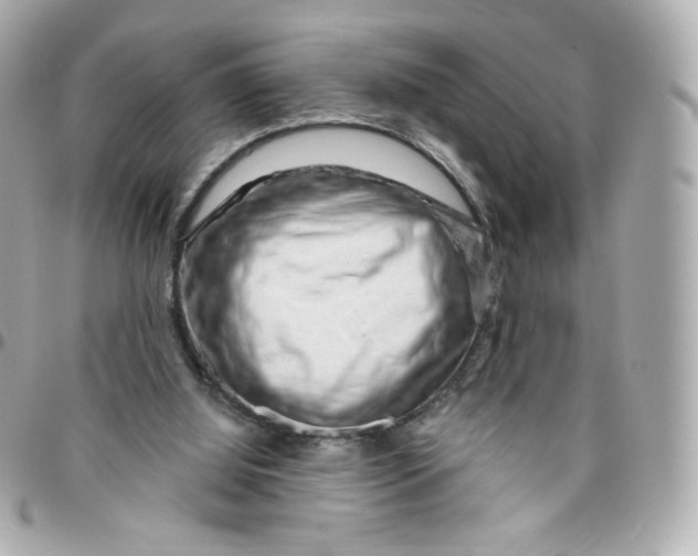 X0000095880060200802011053