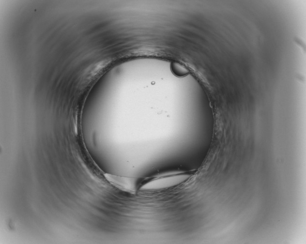 X0000095880062200802011053