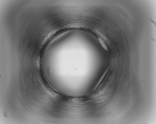 X0000095880064200802011054