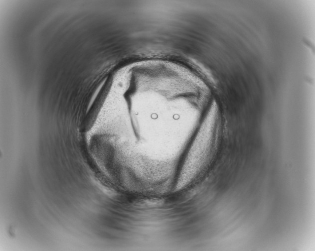 X0000095880065200802011054