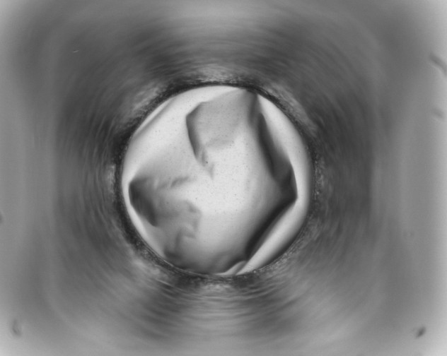 X0000095880066200802011054