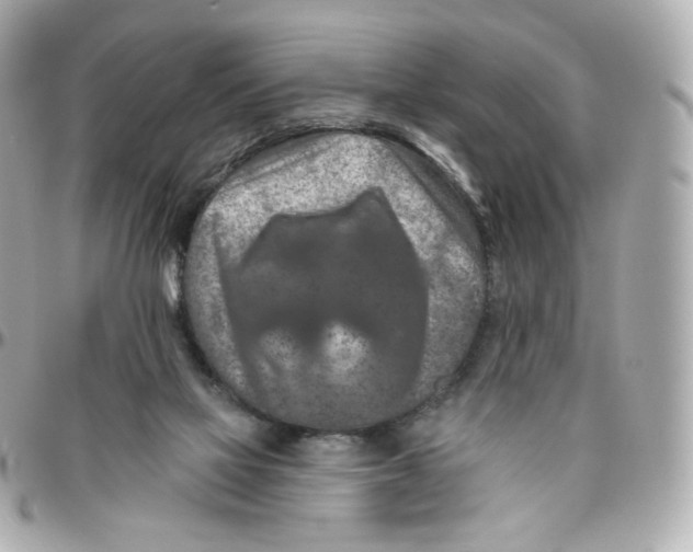 X0000095880069200802011054