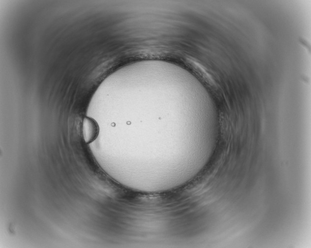 X0000095880071200802011054