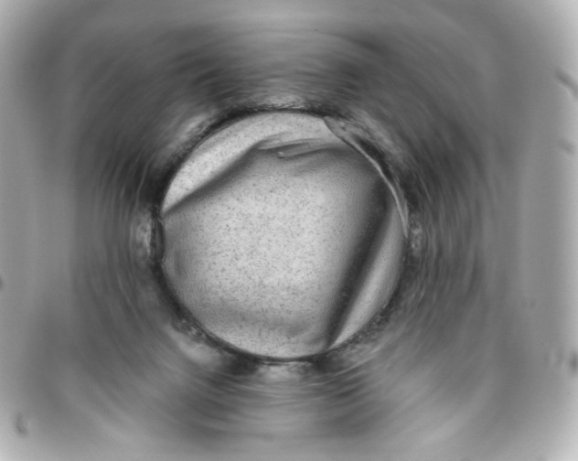 X0000095880072200802011054