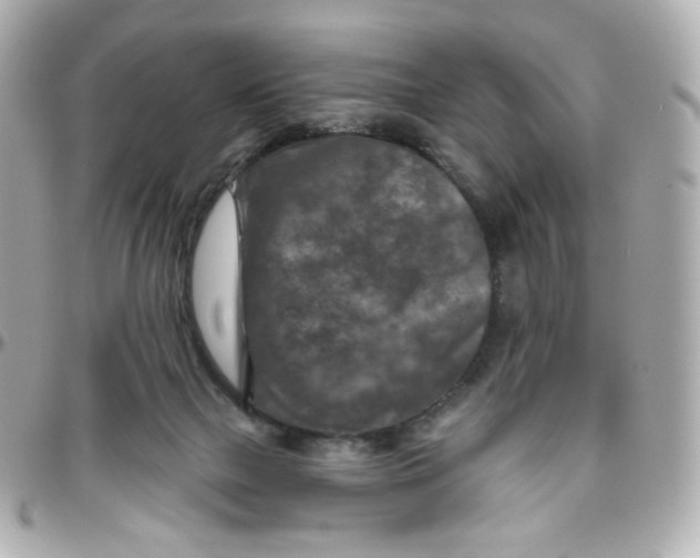 X0000095880073200802011054