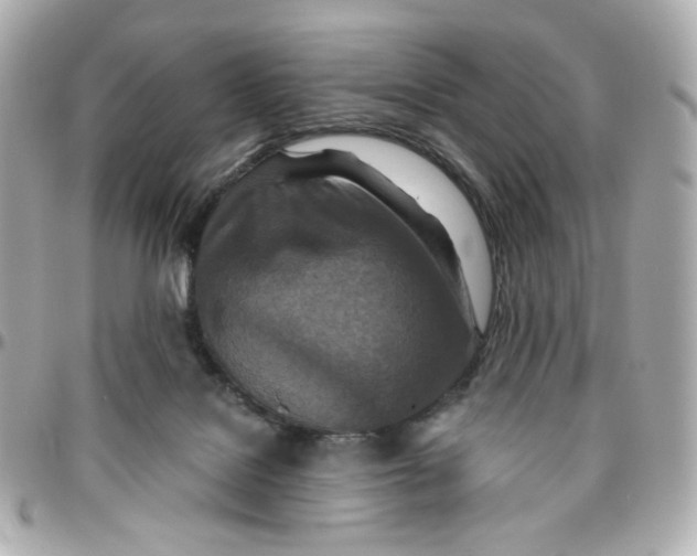 X0000095880076200802011054