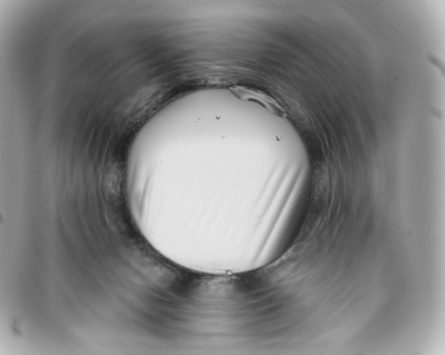 X0000095880078200802011054