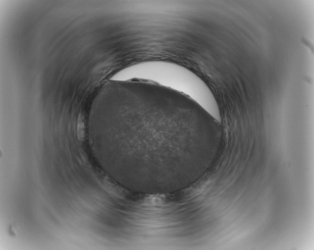 X0000095880080200802011054