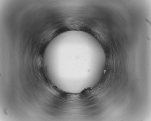 X0000095880081200802011054