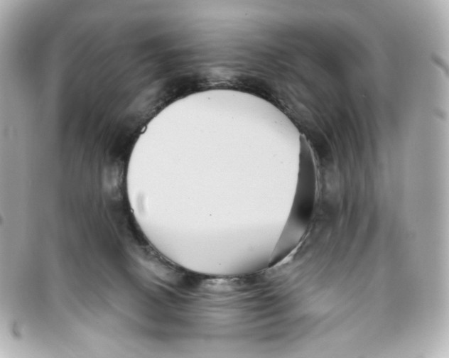 X0000095880082200802011054