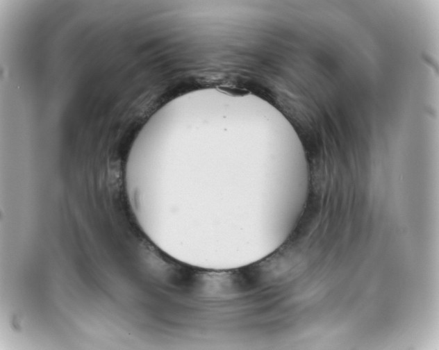 X0000095880085200802011054