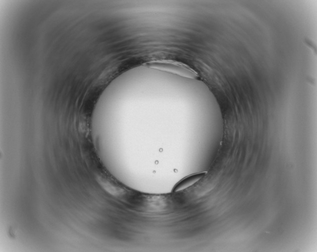 X0000095880091200802011054