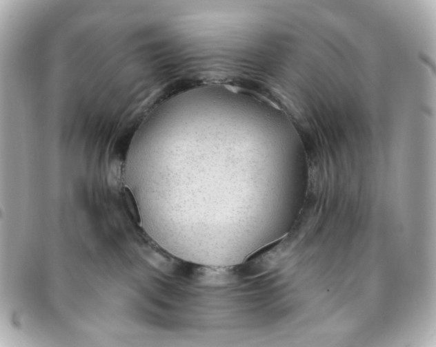 X0000095880093200802011054