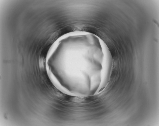 X0000095880094200802011054