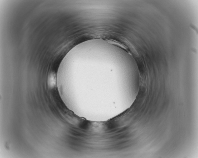 X0000095880095200802011054