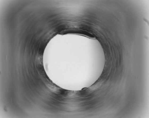 X0000095880096200802011054